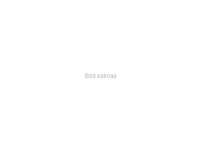 1 Elbas Samick LB-113SB med